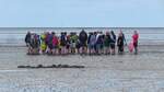 Wandergruppe im Watt vor Neuharlingersiel in Niedersachsen am 16.08.24.