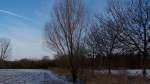 Ein Baum in Brgerschtzenweg in Lehrte am 28.01.2010.