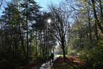 Wanderweg im Mühlenpark bei Kommern - 11.11.2022