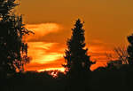 Abendstimmung, kurz vor Sonnenuntergang in der Eifel - 21.09.2024