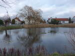 Dorfteich von Glaubitz, Lkr. Meißen (17.12.2024)