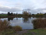 Großer Teich in Kroptewitz, Lkr.