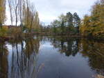 Ammelshain, Schloßteich in der Pappelallee (02.11.2024)