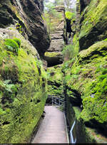 Durch die Schwedenlöcher: eine Schlucht, die vom Kurort Rathen zur Bastei führt. An vielen Stellen sind die Felsen mit Moos bedeckt, weil die Sonnenstrahlen sie nicht erreichen. Nach Unwetterschäden war der Weg in diesem Jahr über mehrere Monate gesperrt.

🕓 19.8.2024 | 16:33 Uhr