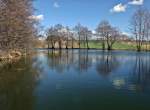 Frhling am Weiher
01.04.2012