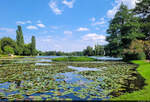 Auf der Roseninsel: Blick über den Wörlitzer See im Gartenreich Dessau-Wörlitz.

🕓 20.7.2024 | 15:35 Uhr