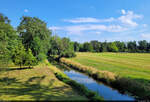 Am Mittelhölzergraben im Wörlitzer Park.