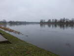 An der Elbe bei Ziebigk an der Schiffsanlegestelle Kornhaus (08.12.2024)