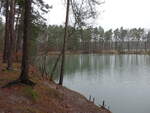 Teich Blaues Auge bei Reinharz in der Dübener Heide, Kreis Wittenberg (09.12.2024)