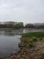 Die Elbe nahe Breitenhagen-Alt Tochheim, mit der Elbfhre Breitenhagen. Blick zum Nordufer, nach Tochheim.  

8.04.2007