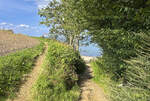 Auf dem Wanderweg an der Nordküste des Dänischen Wohlds. Aufnahme: 27. August 2024.