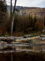 Ein kleiner Bach inmitten der Karpaten / Wolowetz, Ukraine / 07.02.2025 Ein kleiner Bach inmitten der Karpaten / Wolowetz, Ukraine / 07.02.2025