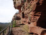 Sandsteinfelsen zur Burg Falkenstein bei Philippsbourg (13.10.2024)