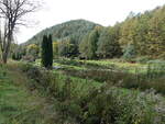 Mambach Weiher bei Philippsbourg, Bas-Rhin (13.10.2024)