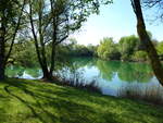 Fischweiher in der Rheinebene bei Breisach, April 2018