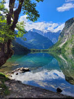 Glasklarer Obersee, in dem sich unter anderem der Watzmann spiegelt.

🕓 26.5.2024 | 16:23 Uhr