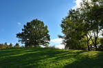 Gegenlicht - Bäume - Himmel -im Freizeitpark Rheinbach - 25.10.2024