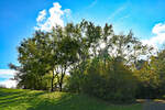 Stimmungsbild, Gegenlicht, Sonne, Bäume und Wolken im Freizeitpark Rheinbach - 25.10.2024