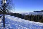 Blick vom Lindenberg bei St.Peter/Schwarzwald ins nebelgefüllte Dreisamtal, ganz am Horizont noch erkennbar die Vogesen, Dez.2024