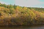 Herbstliche Farben, am Vorstau des Esch Saurers Stausee, nahe Bavigne.