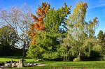 Herbst im Freizeitpark Rheinbach - 25.10.2024