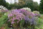 Leuchtender Oktober in Hamburg im Park Planten un Blomen am 11.10.2020 /