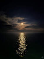 Der Mond erleuchtet das Wasser des Ärmelkanals, so gesehen Mitte Juni 2024 bei Calais.