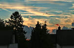 Abendstimmung/Sonnenuntergang vom Dachfenster aus betrachtet zwischen Bäumen und Häusern in die Eifel -15.08.2024