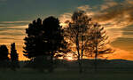 Sonnenuntergang/Abendstimmung bei Bad Münstereifel - 30.11.2024