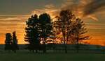 Abendstimmung/Sonnenuntergang bei Bad Münstereifel -30.11.2024