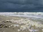 Texel: der Wind treibt Schaumkronen ber den Strand (29.08.2006)