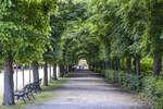 Tiergartenallee im Schlosspark Schönbrunn in Wien. Aufnahme: 19. Mai 2024
