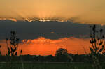 Sonne kurz vor Untergang hinter einer Wolkenschicht verschwunden - 26.06.2024