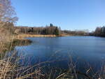 Weiher bei Goßmannshofen im Unterallgäu (05.02.2024)