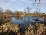 Dorfteich in Dornreichenbach, Landkreis Leipzig (15.12.2024)