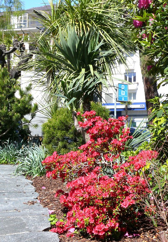 Uferpromenade Muralto am 07.04.2008