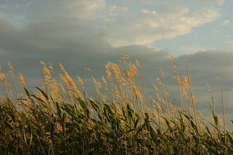 Wetterimpressionen.
(Juni 2009)