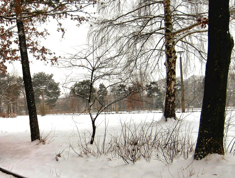 Winter in der Wuhlheide,
2006