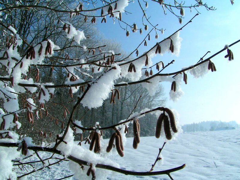 Winterlandschaft; 060203