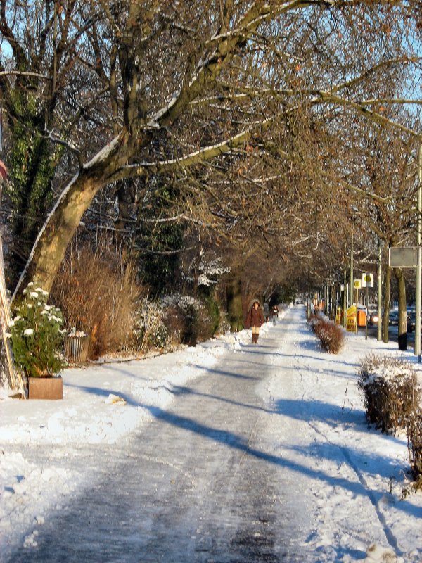 Winterlandschaft in Berlin-Wedding, Winter 2009